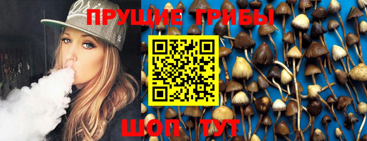 где купить наркотик  Псилоцибиновые грибы прущие грибы  Вход с VPN  Мирный 