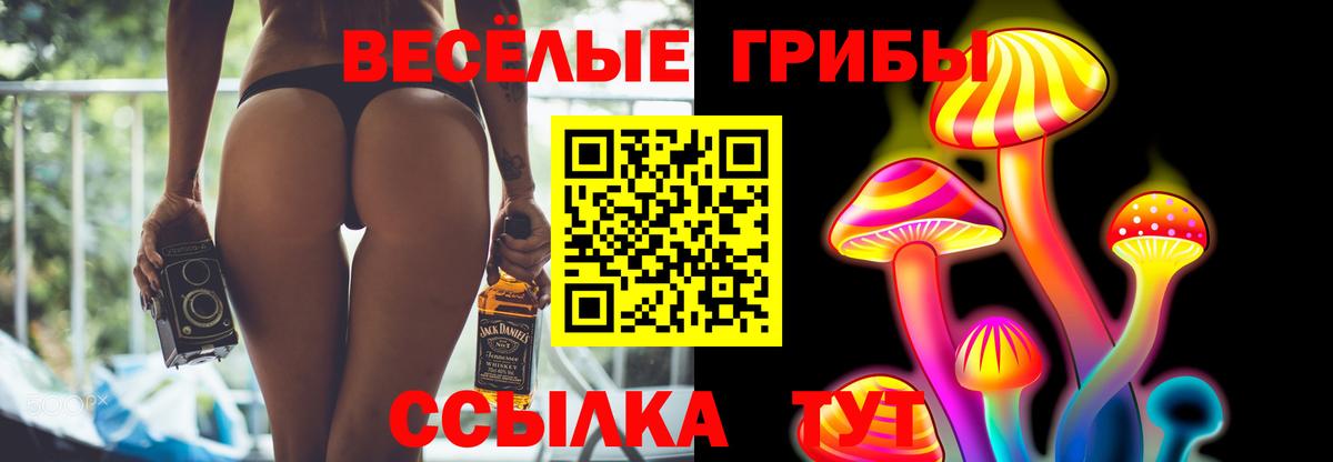 Мирный  Бошки Шишки  Вход с VPN  АМФ кристаллы  Меф МЯУ МЯУ кристаллы  КОКАИН  Гашиш  Alpha PVP СОЛЬ  